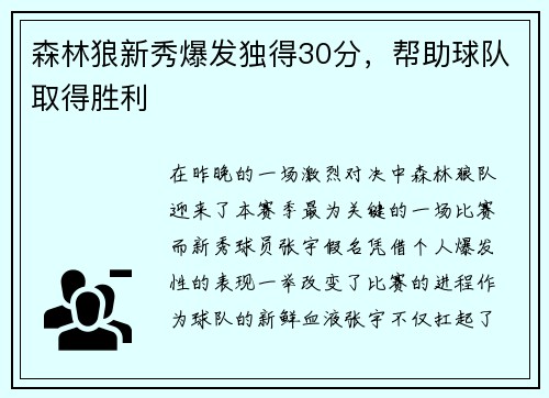 森林狼新秀爆发独得30分，帮助球队取得胜利